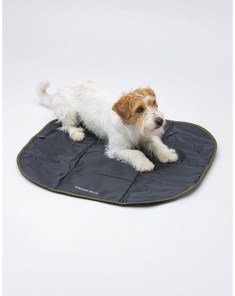 Lazy Dog Mat Black/Pink