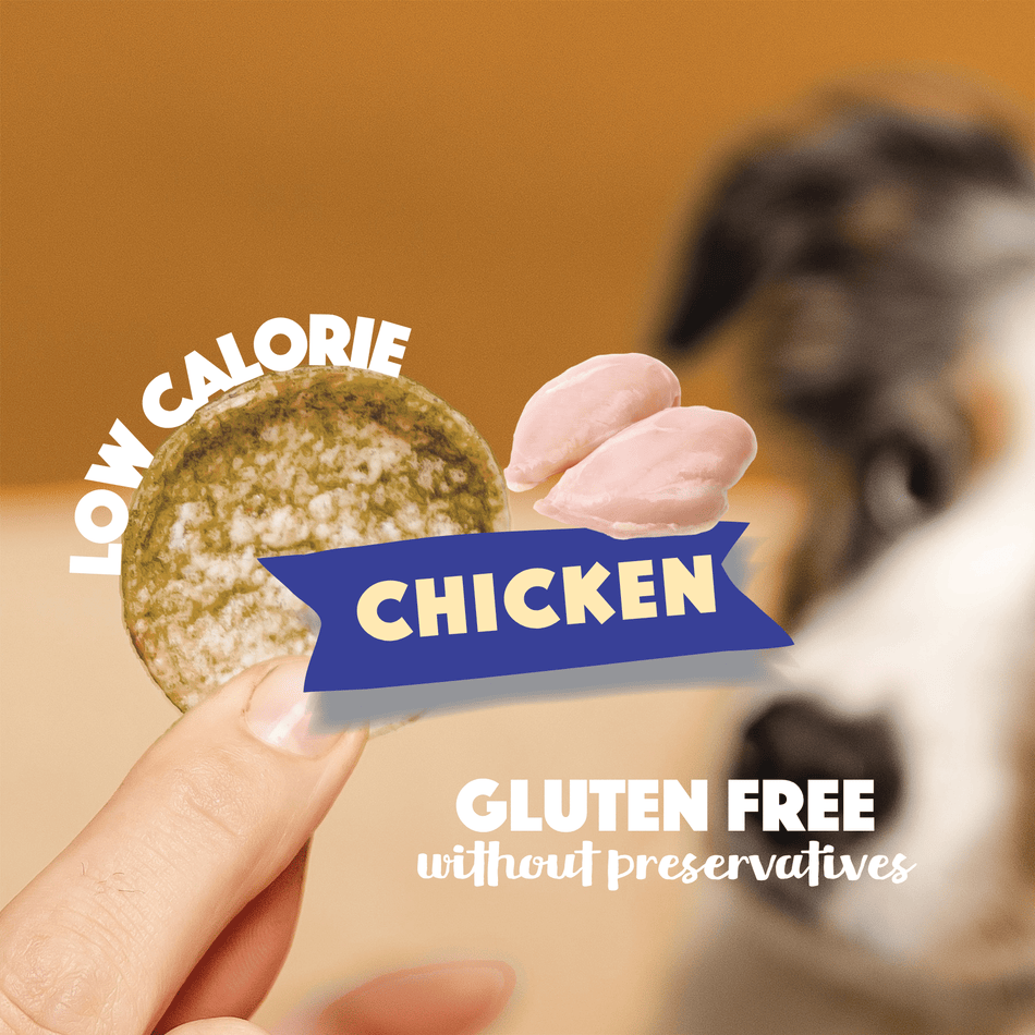 Chicken Dog Pop