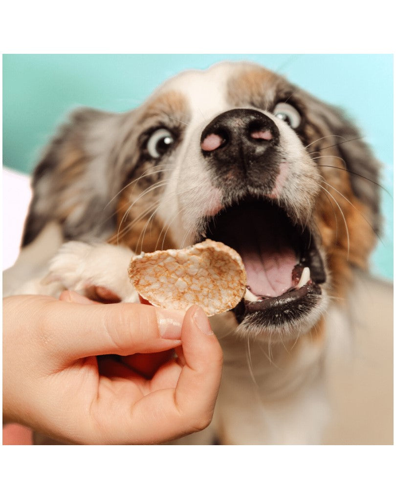 Smoofl Mushroom & Rosemary Dog Pops