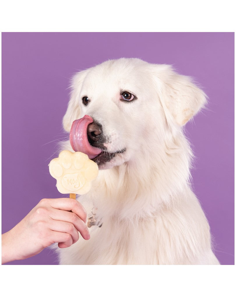 Smoofl Banana Mix for Dog Ice
