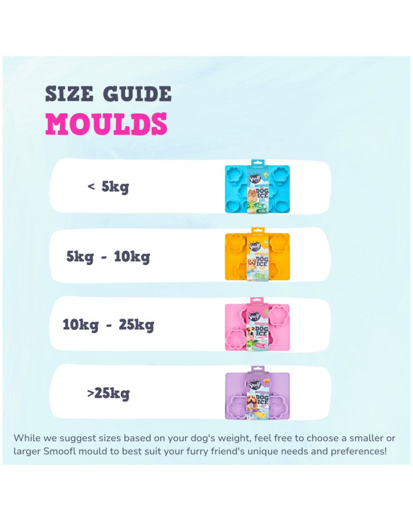 Smoofl Ice Mould- Large