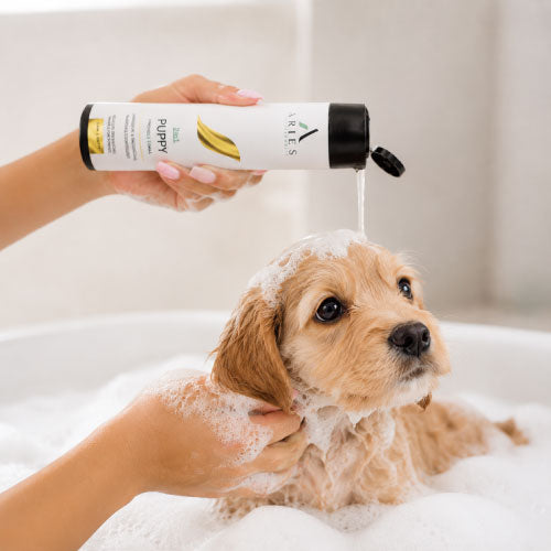 Bubbly Pup Bath