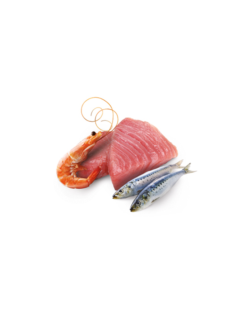 N&D Ocean Tuna, Sardines & Shrimp Adult Wet Food 70g