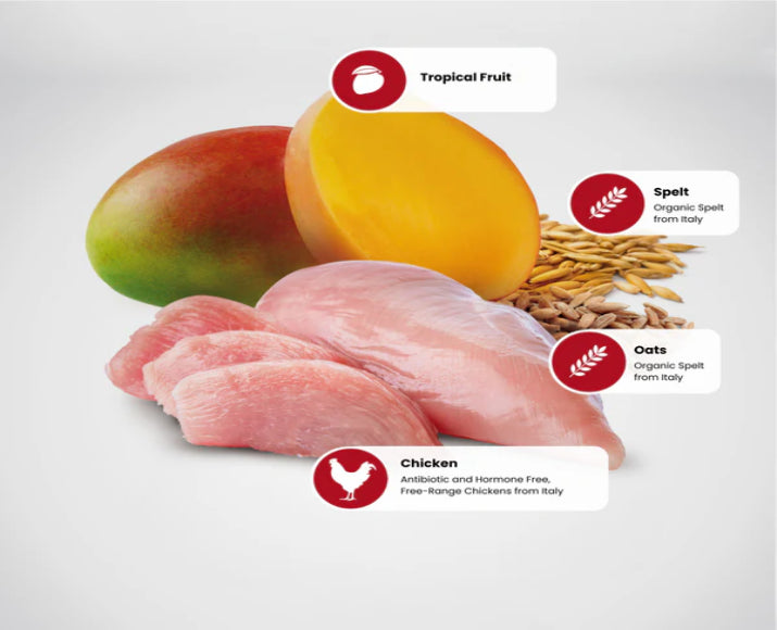 N&D Tropical Chicken & Tropical Fruits Adult Medium & Maxi 10Kg