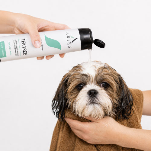 Flea Free and Fancy Bath