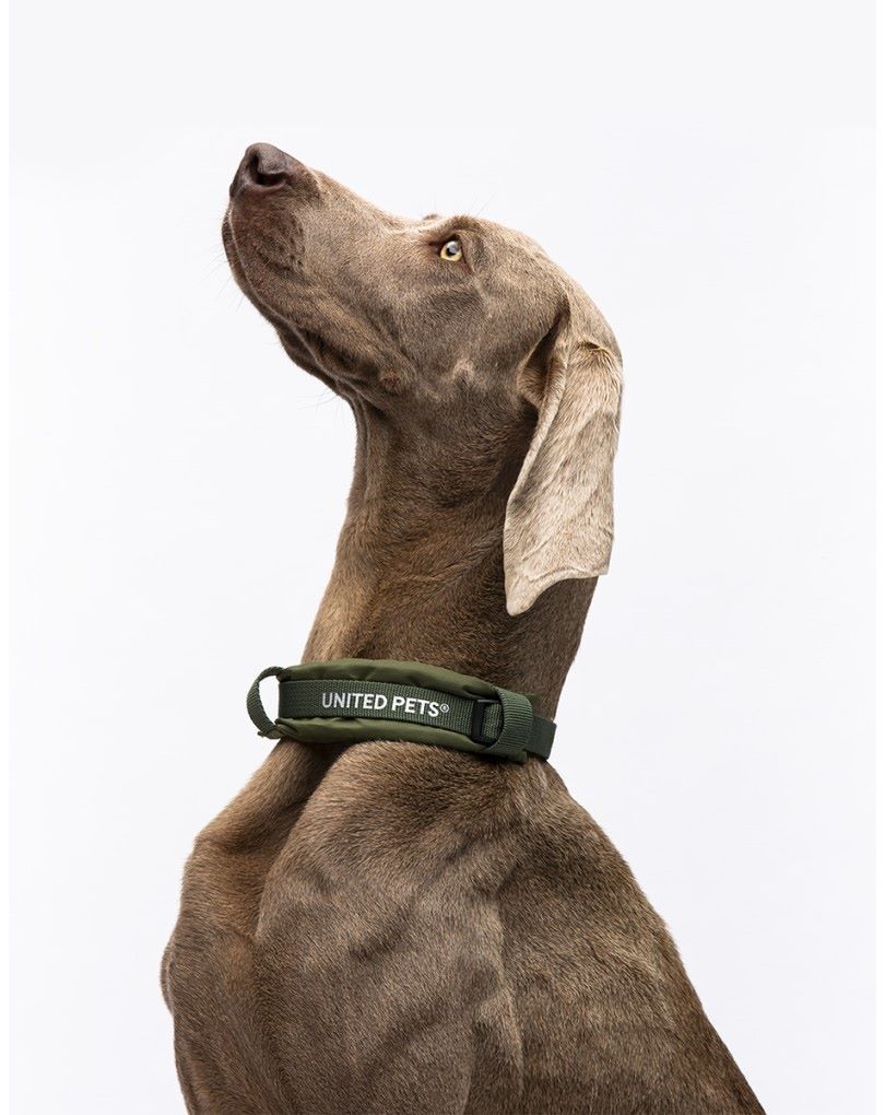 CityLife - Collare Soft Army Green