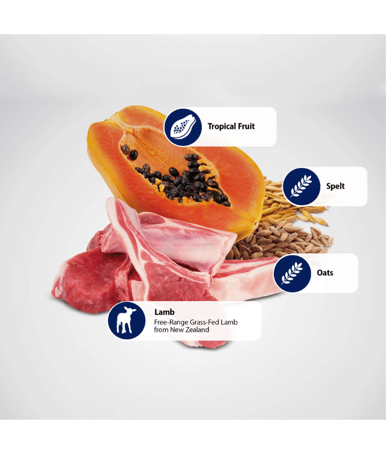 Dog N&D Tropical Lamb , Spelt , Oats 5kg  Mini
