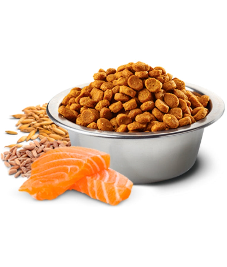 Dog N&D Tropical Salmon Mini 5kg