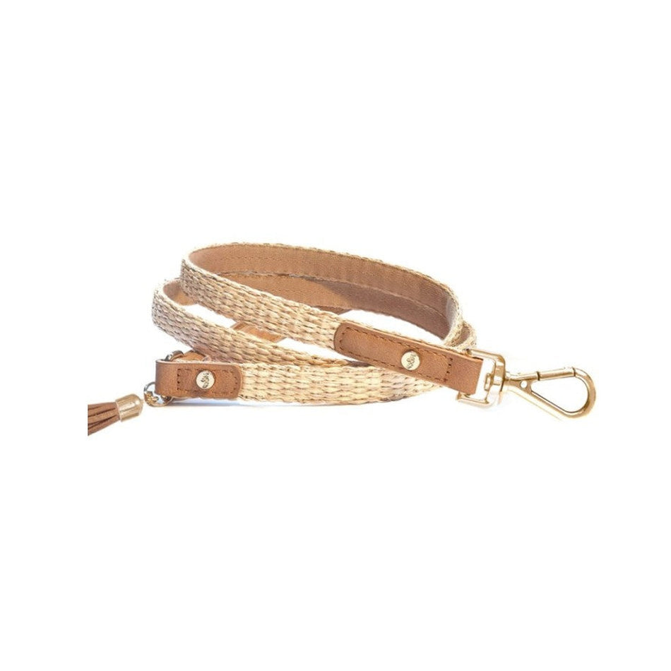Anissa Leash
