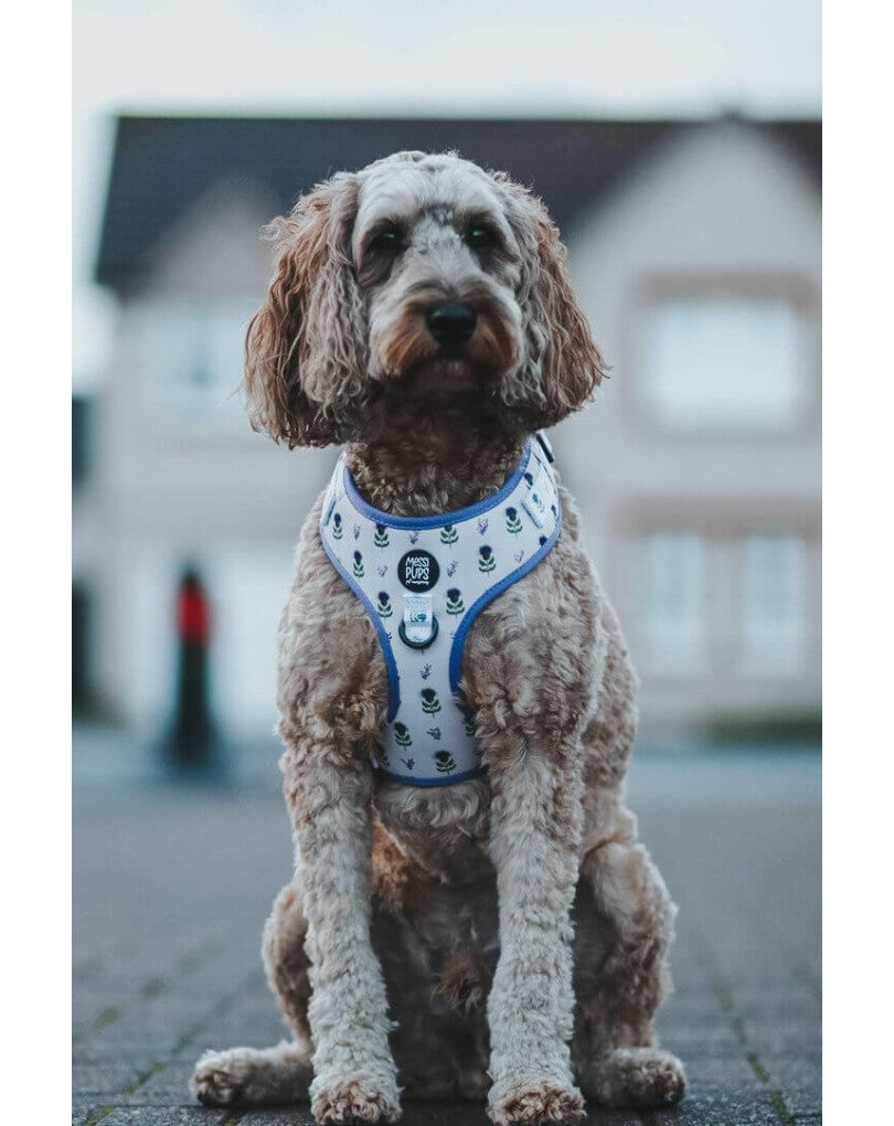 Thistle Do Nicely • Harness