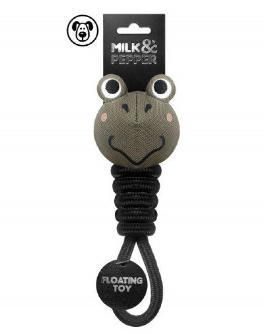 FROG Toy