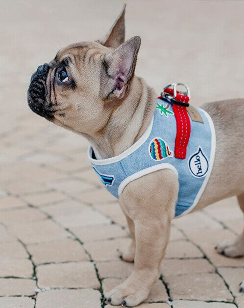 Dog Harness Denim Blue