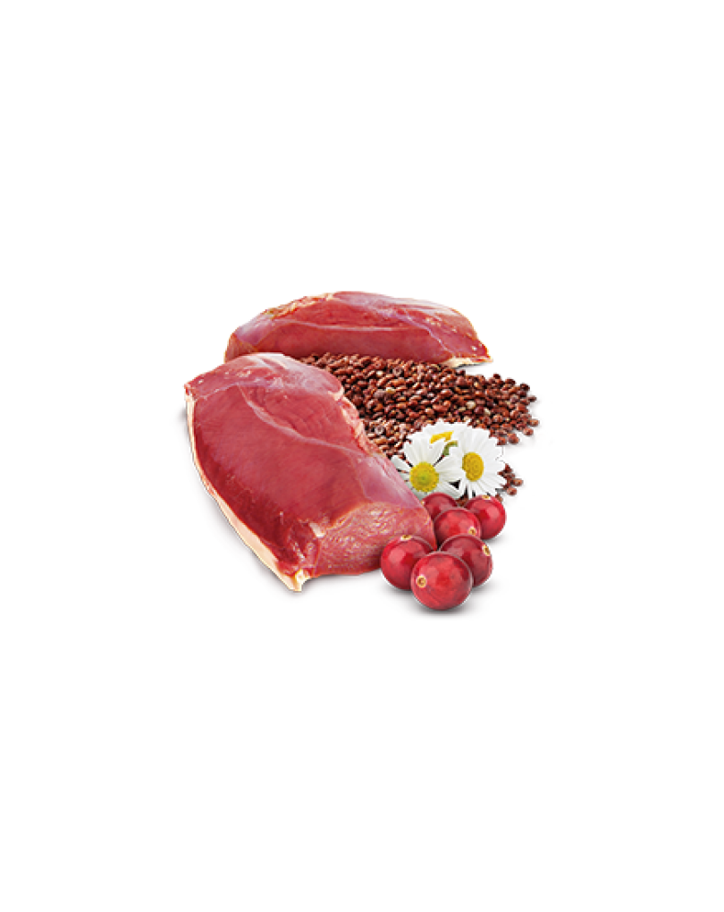 N&D Quinoa Urinary Wet Food 80g