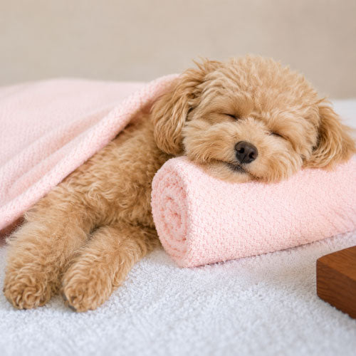 No More Itch Bath
