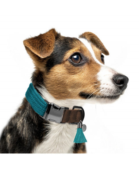Kaya Adjustable Collar Petrole