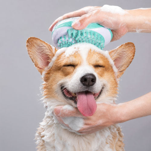 Renewal Scrub Ritual