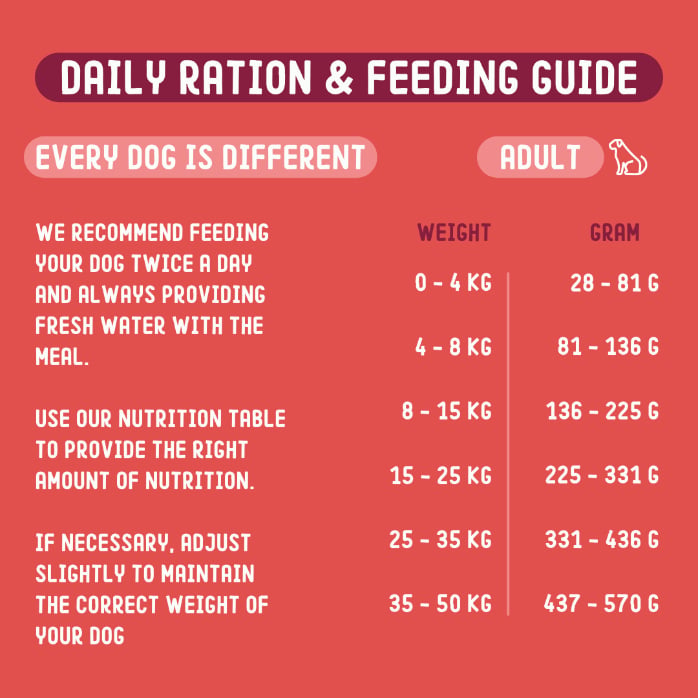 Insect-based Dog Food Medium 5kg