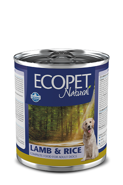 EcoPet Lamb & Rice 300g
