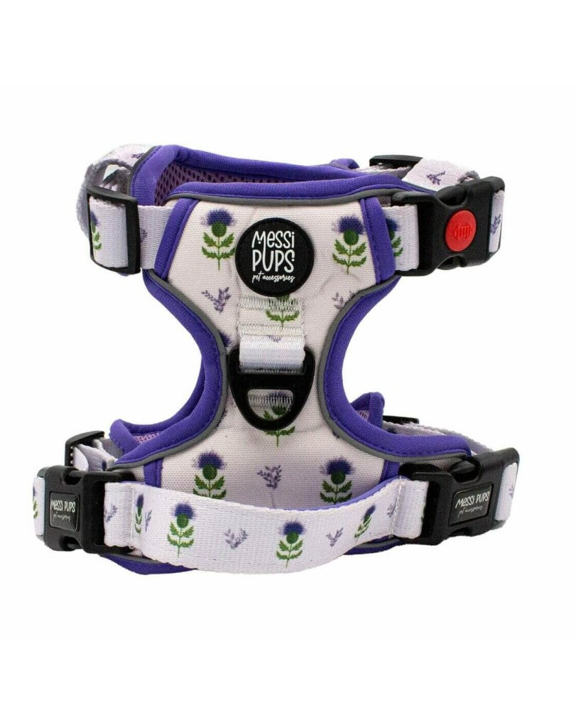 Thistle Do Nicely • Ruff ‘n Ready Harness