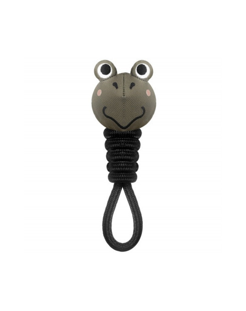 FROG Toy