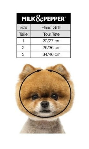 Torso Bonnet