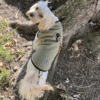 Milk & Pepper Khaki Lightweight Explorer Fleece