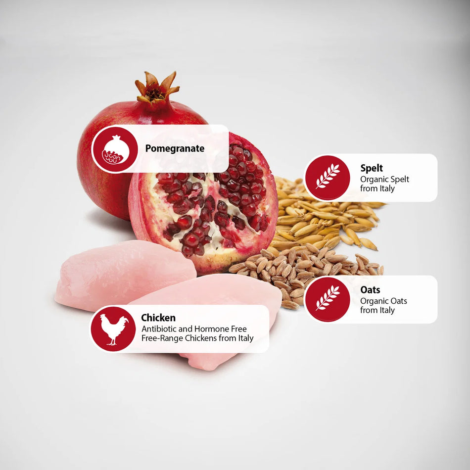 Ancestral Chicken & Pomegranate Light mini 2.5kg