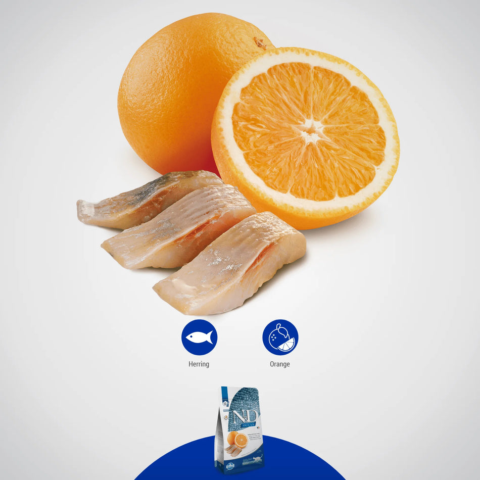Ocean Herring & Orange 1.5kg