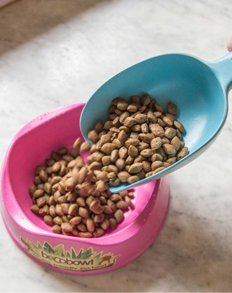 Recycled Bamboo Food Scoop Natural
