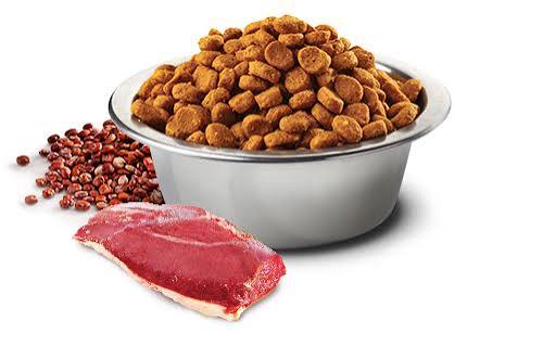 N&D Quinoa Urinary Duck 1.5Kg