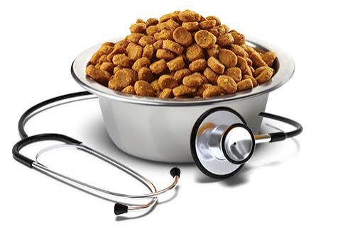 Cat Vet Life Feline Renal 2Kg