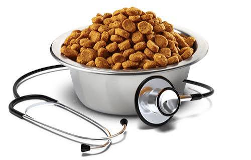 Dog Vet Life Canine Gastrointestinal 2Kg