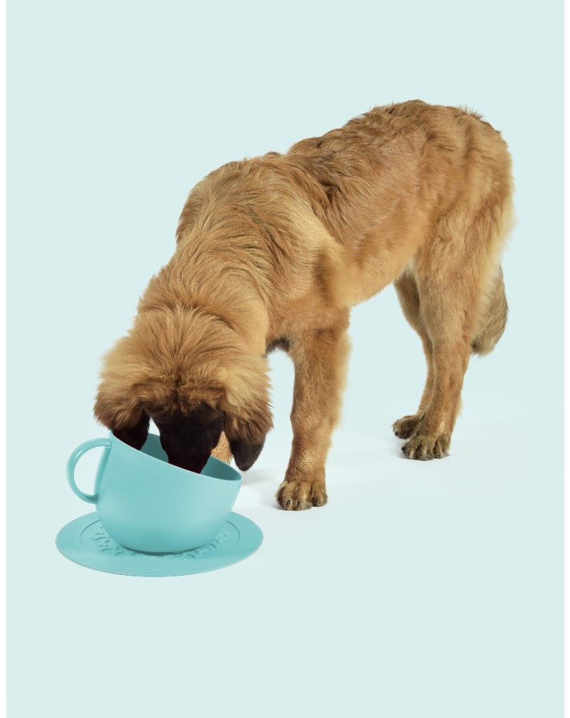 Set Cup Aquamarine
