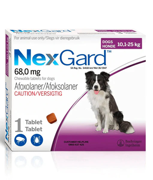 Nexgard - Tick and Flea Protection - 10-25KG ( 1 CHEW)