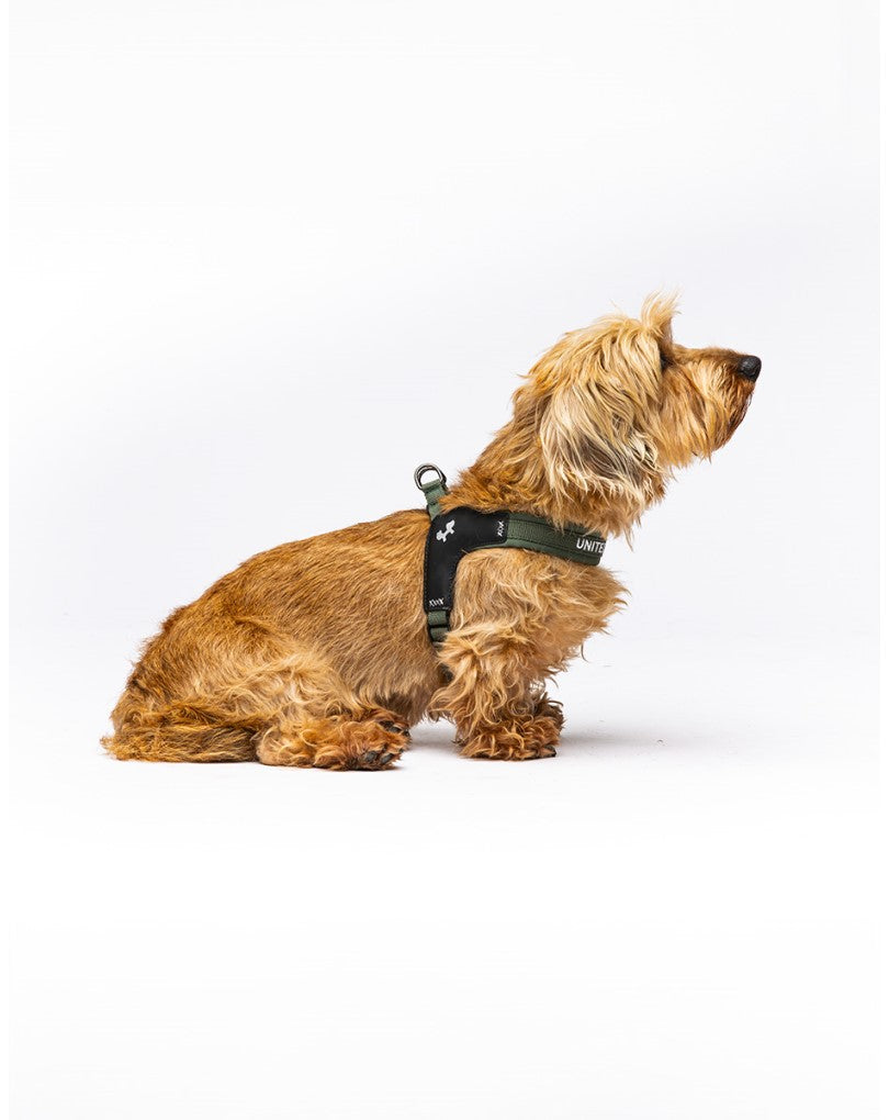 CityLife - Pettorina Fast Fit Army Green