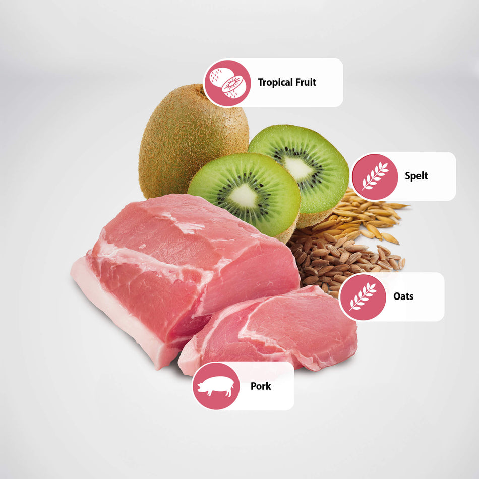 N&D Tropical Pork and tropical fruits Adult Medium & Maxi 10Kg