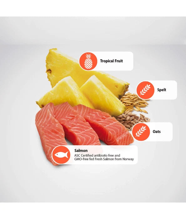 N&D Tropical Salmon, Spelt, Oats & Tropical Fruits Adult Medium & Maxi 10Kg