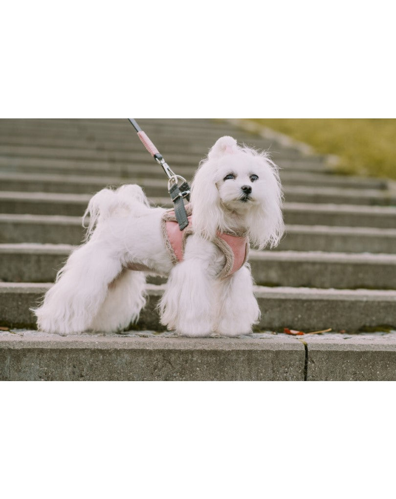 Dog Harness YETI Red