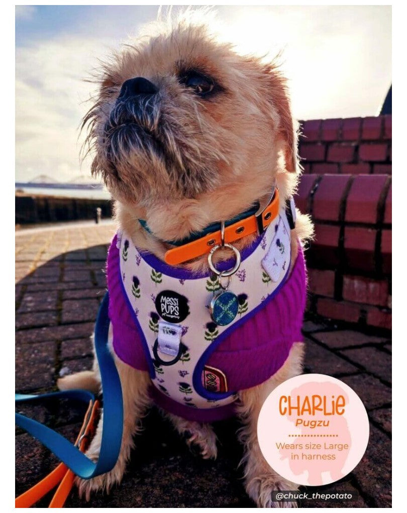 Thistle Do Nicely • Collar