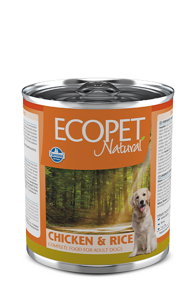 EcoPet Chicken & Rice 300g