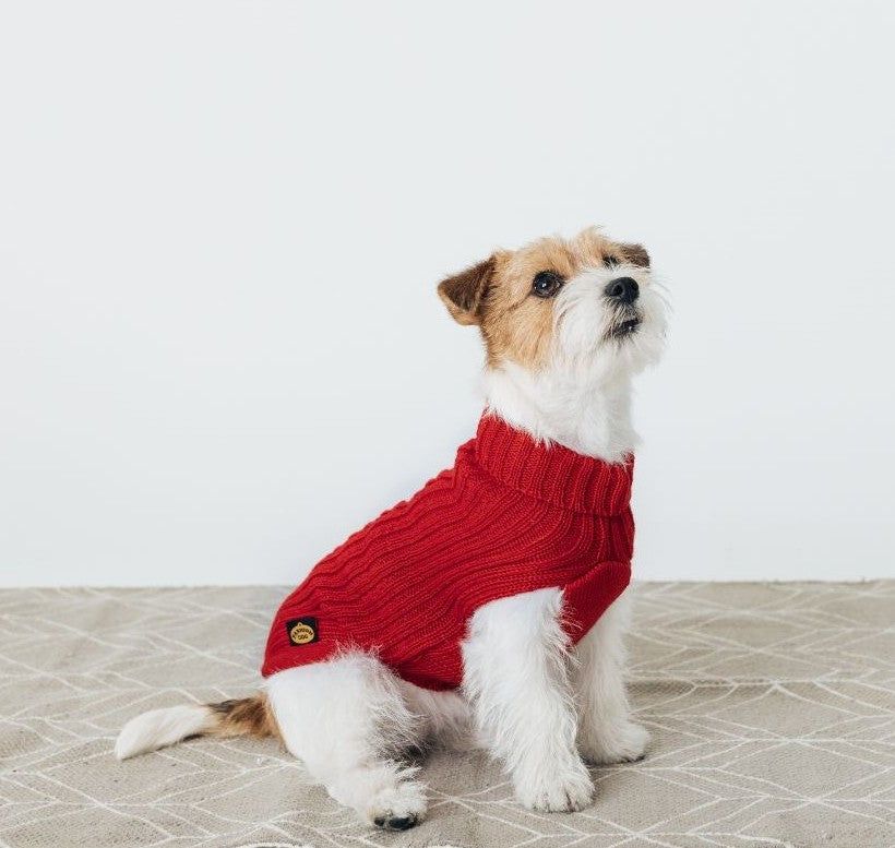 Sweater Red Classic