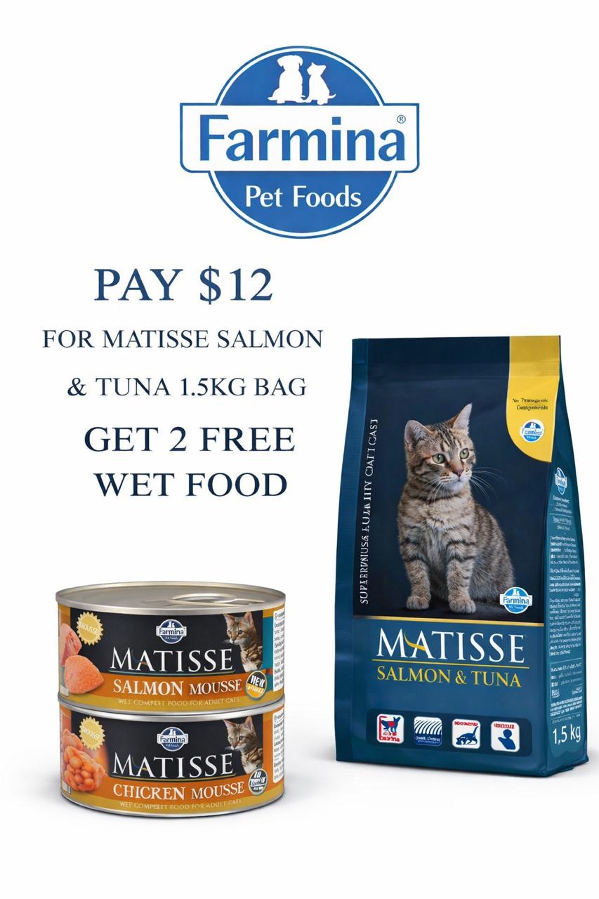 Matisse Salmon & Tuna 1.5kg + 2 FREE Wet Food 85G