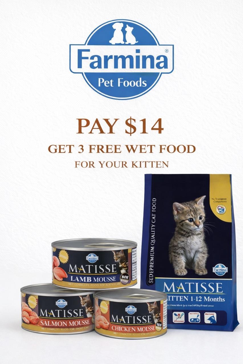 Matisse Kitten 1.5kg + 3 FREE wet foods 80gr