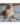 Cookas-Cookie-Individual-Sardinha-e-Porco-4-p2