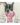 Cookas-Cookie-Individual-Vaca-4–p2a